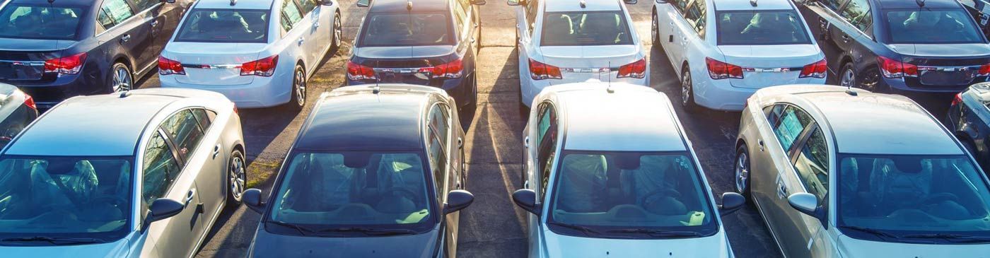 pr-auto vendita auto usate a torino e provincia 003